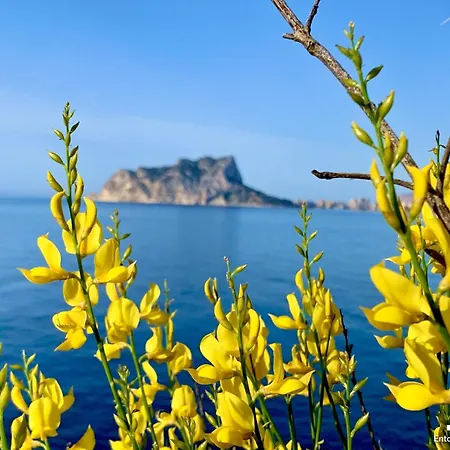 Vh Costa Blanca - Llobella Benissa